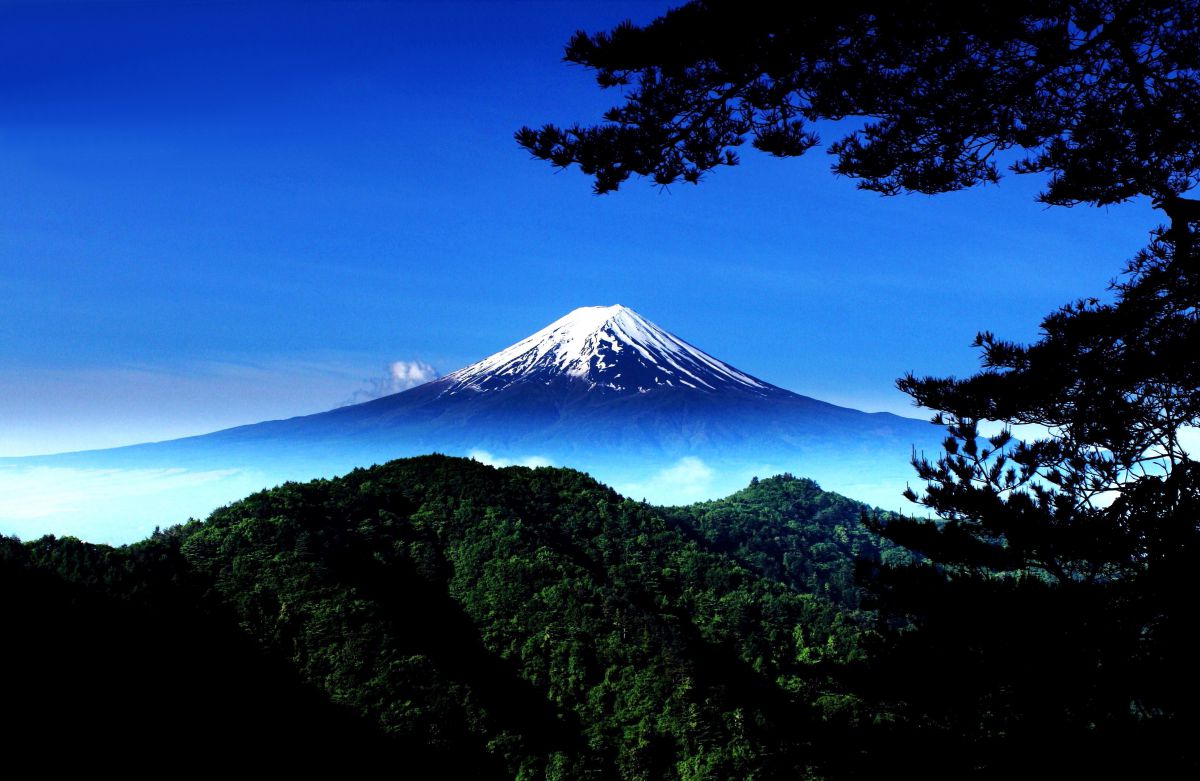 >観光旅行もビジネスも安全に送迎いたします